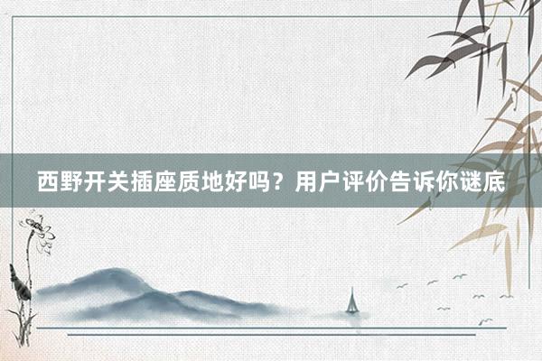 西野开关插座质地好吗？用户评价告诉你谜底