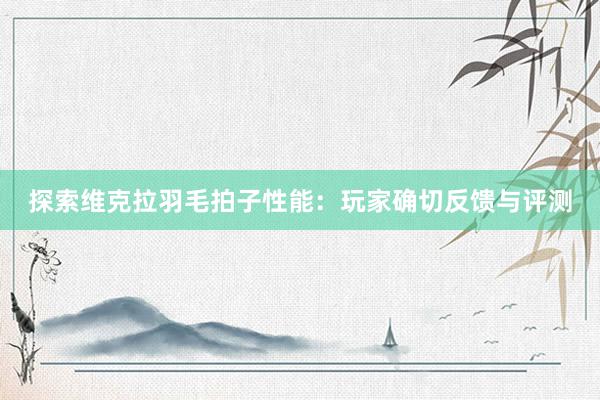 探索维克拉羽毛拍子性能：玩家确切反馈与评测